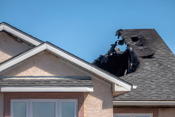 Top rated local Board Up Services specialists in Georgetown, PA